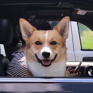 Meet your Posher, Ginny n dave